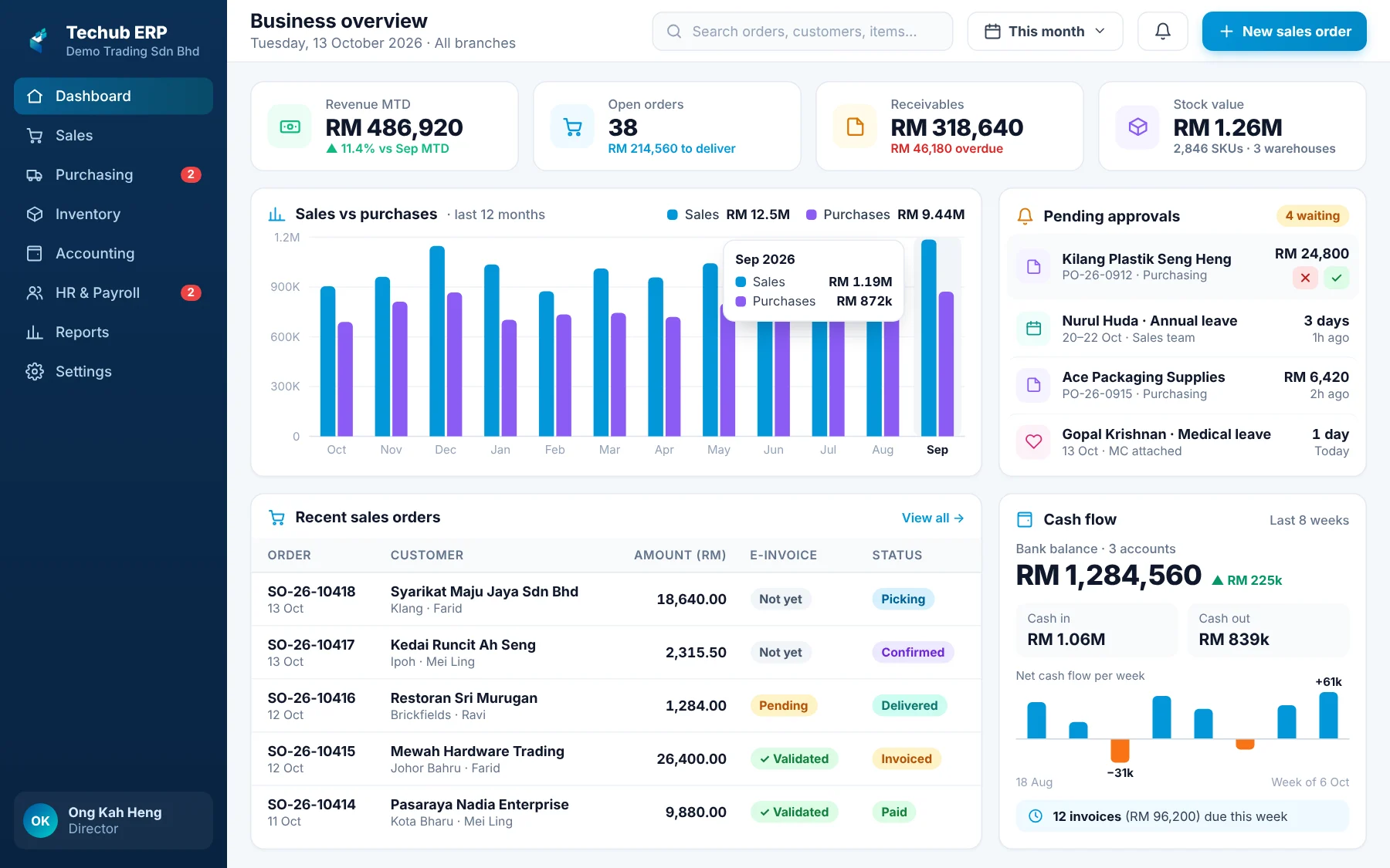 Example of a custom ERP dashboard with sales, purchasing, inventory, accounting and HR modules
